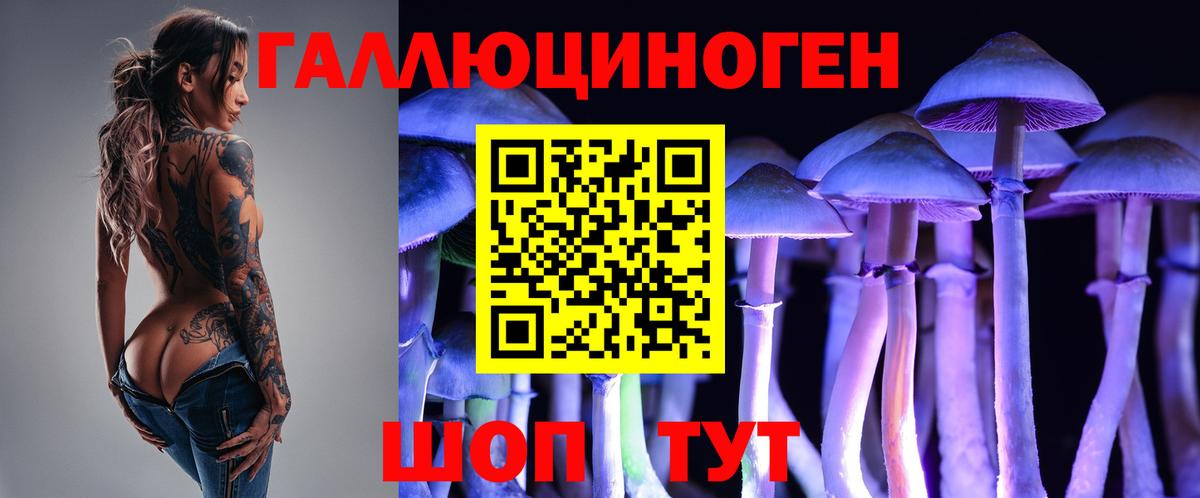где купить наркоту  Галлюциногенные грибы ЛСД  Галлюциногенные грибы Magic Shrooms  Вход с VPN  Сочи 
